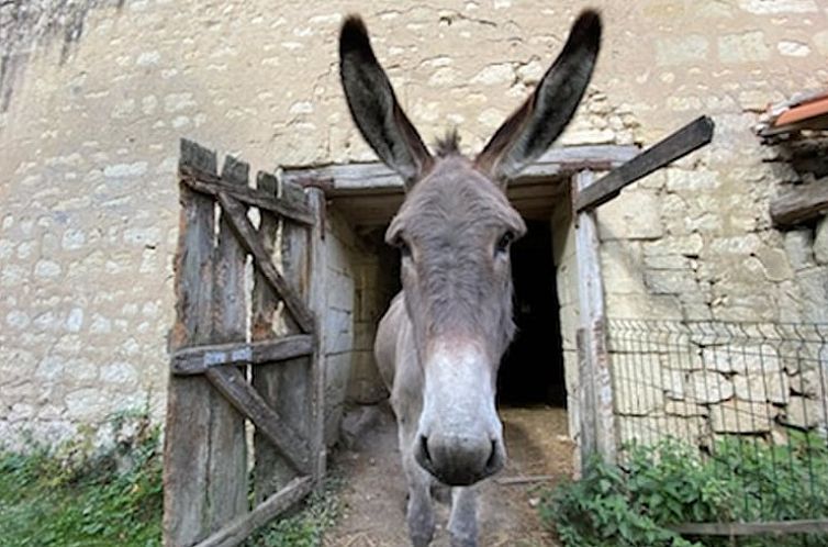 Vakantiehuisje in CIZAY LA MADELEINE