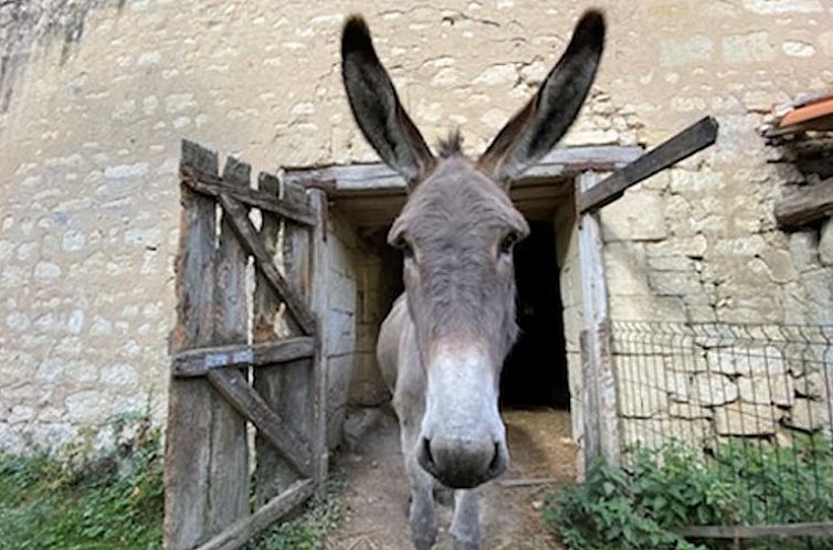 Vakantiehuisje in CIZAY LA MADELEINE