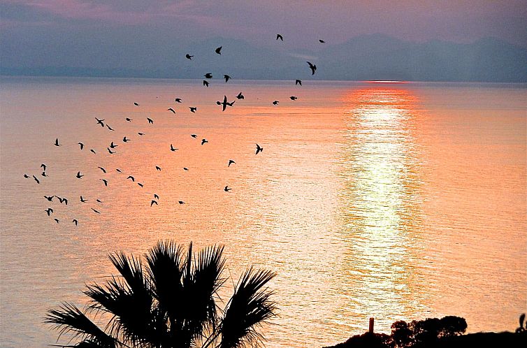 Vakantiehuis Ferienvilla "Villa Dracoena".