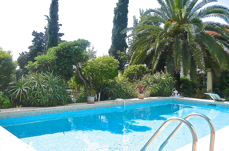 Vakantiehuis Ferienvilla "Villa Dracoena".