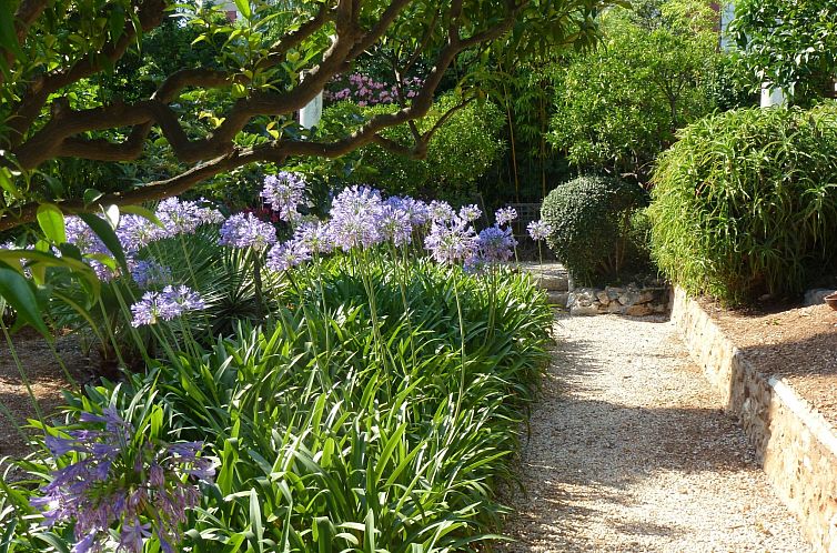 Vakantiehuis Ferienvilla "Villa Dracoena".