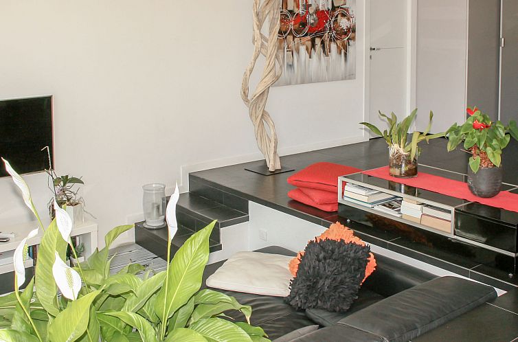 Vakantiehuis Les Oliviers