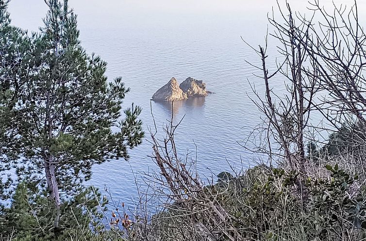 Appartement Les Amandiers