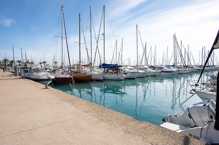 Appartement Le Cormoran
