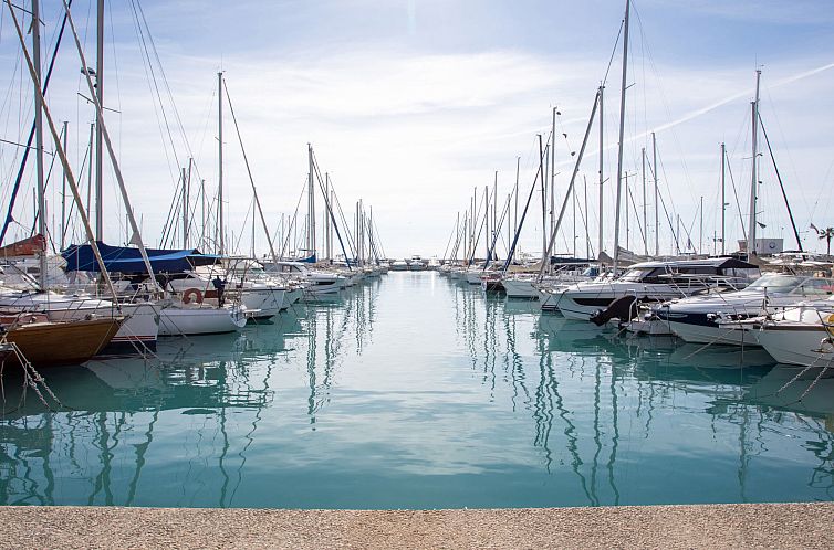 Appartement Le Cormoran