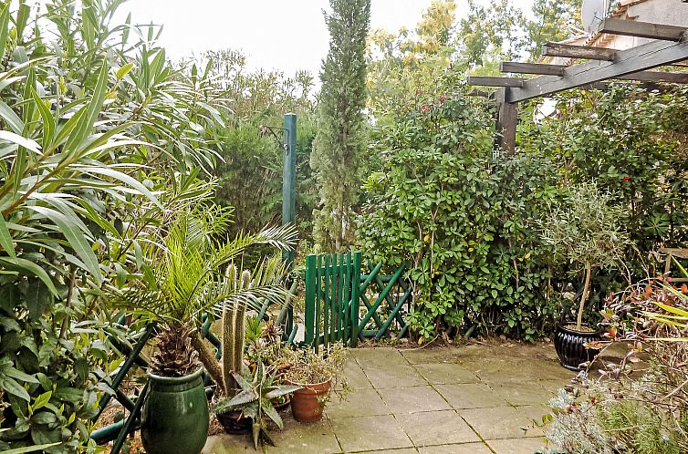 Vakantiehuis Domaine des Vignes