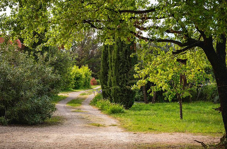 Vakantiehuis Le mas de l'Aven Unterkunft le mûrier