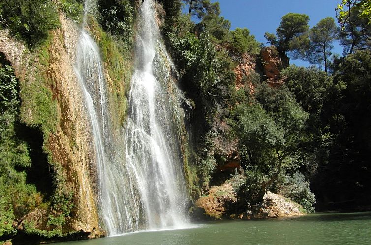 Vakantiehuis pin parasol