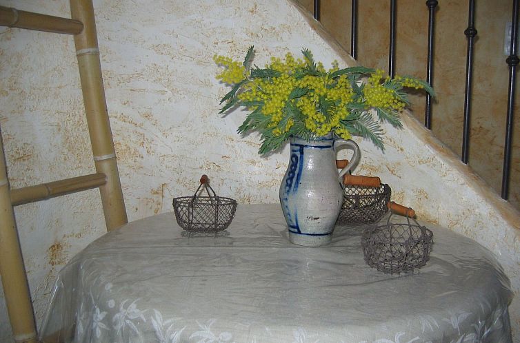 Vakantiehuis pin parasol