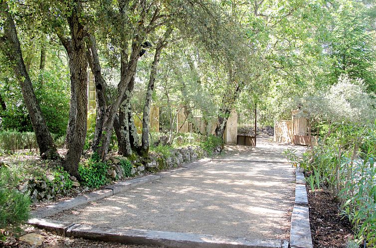 Vakantiehuis Mas des Lavandes