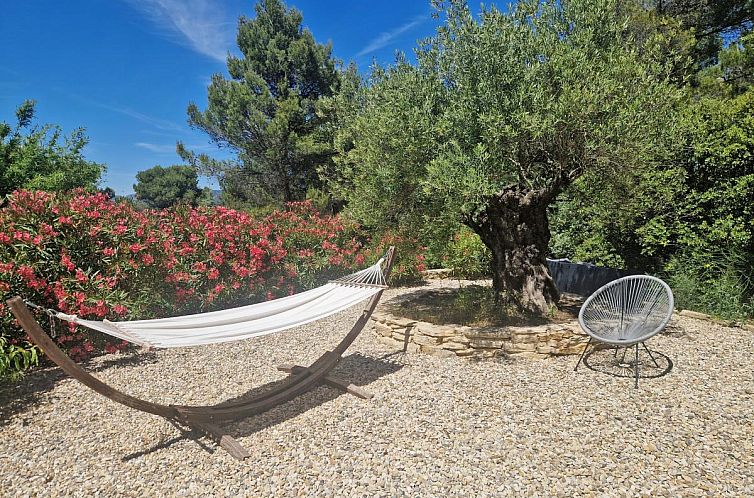 La petite Pinede