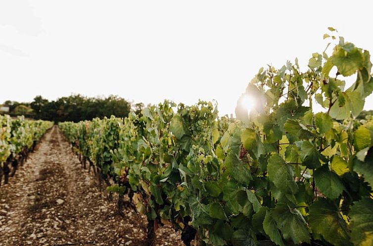 Vakantiehuisje in Saint-Romain-en-Viennois