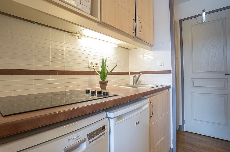 Appartement Le Village (B1 419)