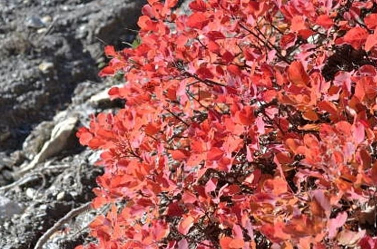 Vakantiehuis in Allos