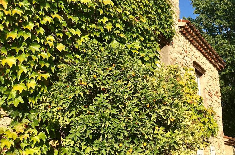 Vakantiehuis Bergerie de Peymeyan