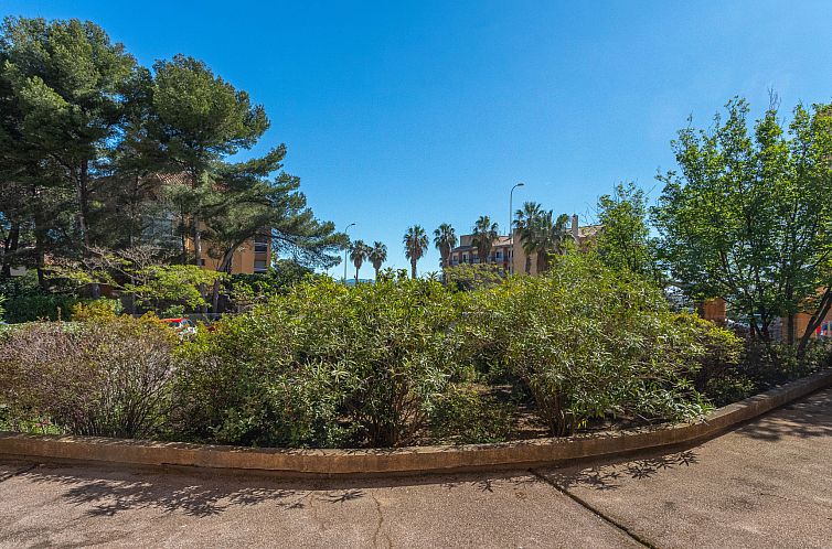 Appartement Les Regates