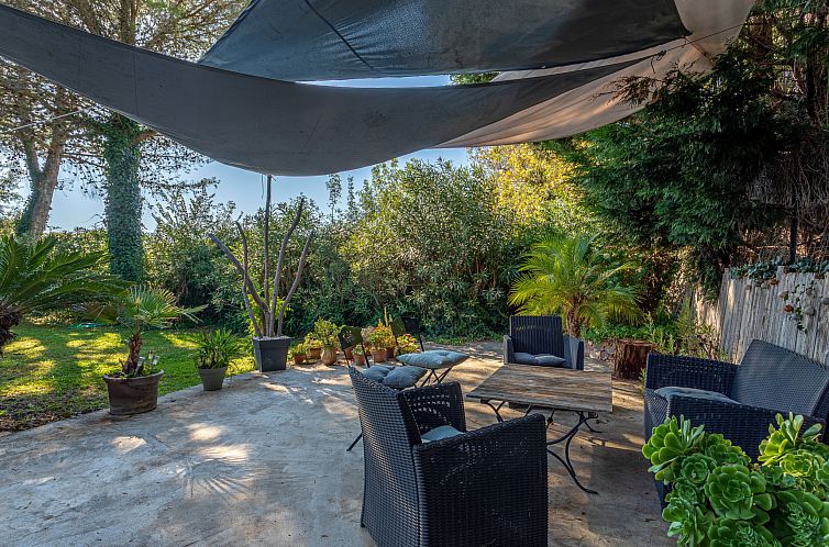 Vakantiehuis Palmeraie