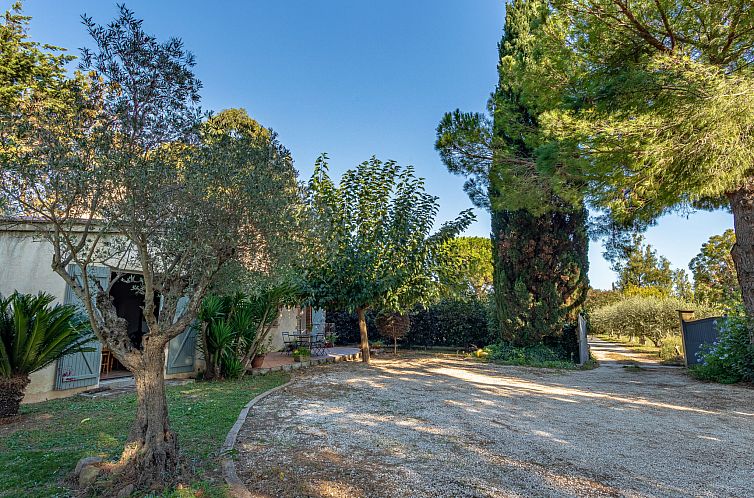 Vakantiehuis Palmeraie