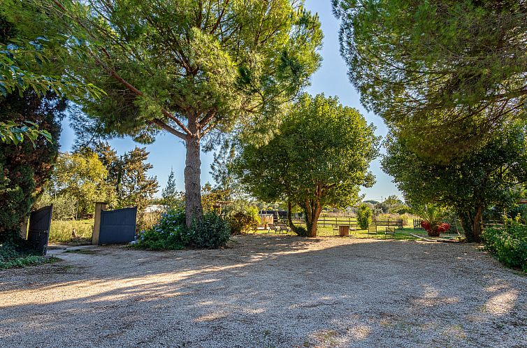 Vakantiehuis Palmeraie