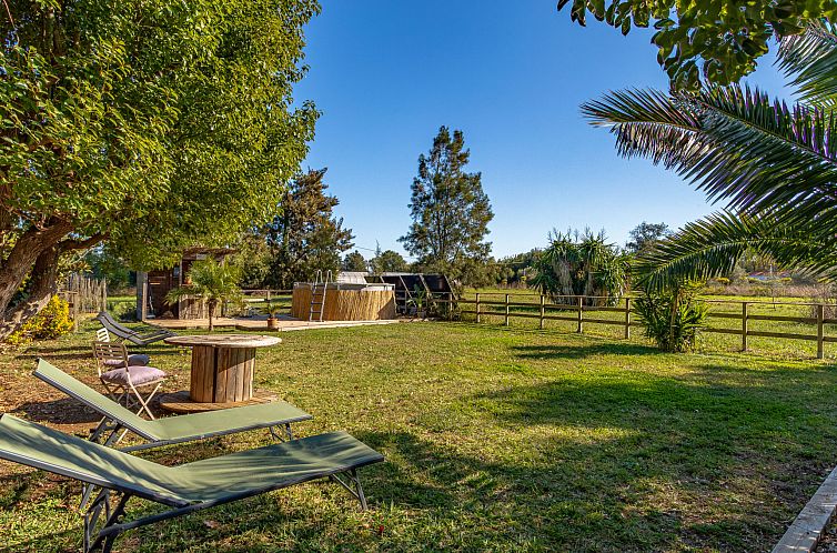 Vakantiehuis Palmeraie