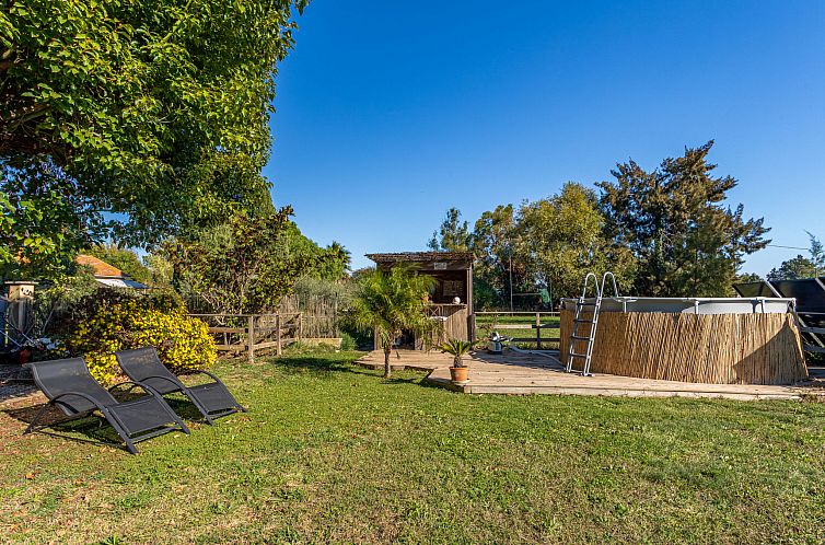 Vakantiehuis Palmeraie