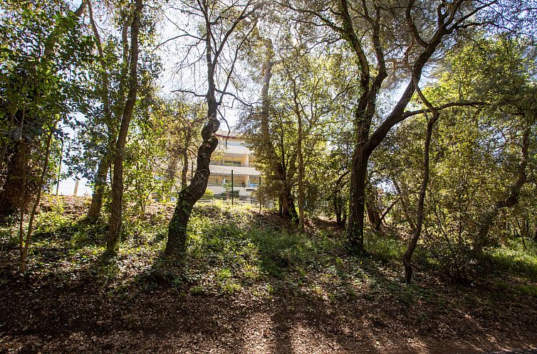 Appartement Le Royal Park