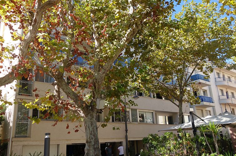 Appartement Le Corsaire