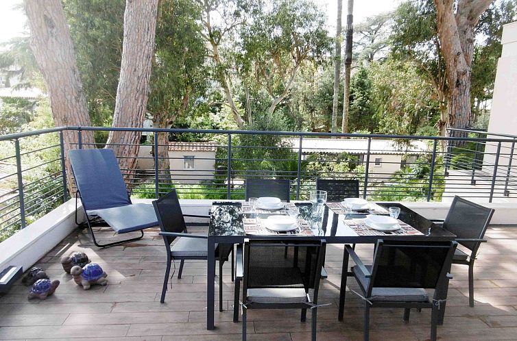 Vakantiehuis Villa Mascotte