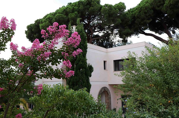 Vakantiehuis Villa Mascotte
