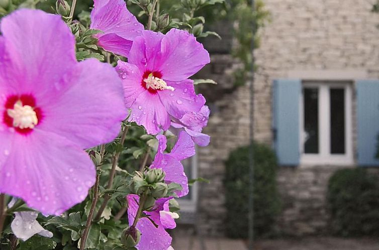 Appartement Cypres du Paradis