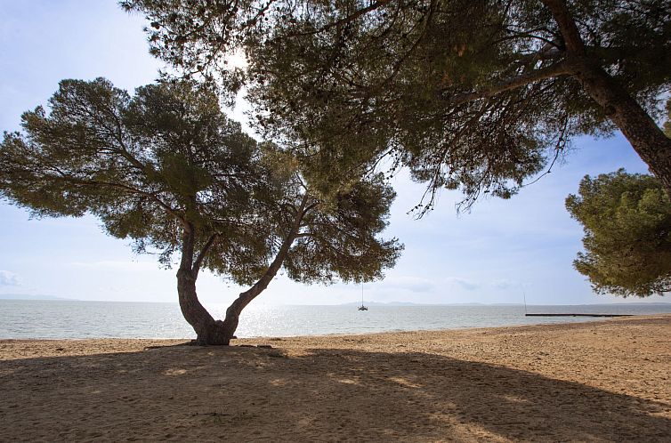 Appartement Odalys Référence Les Océanides