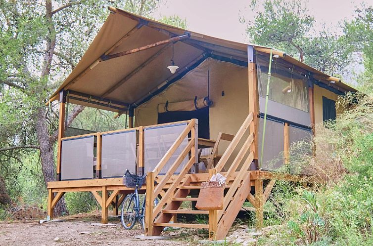 Premium Lodge