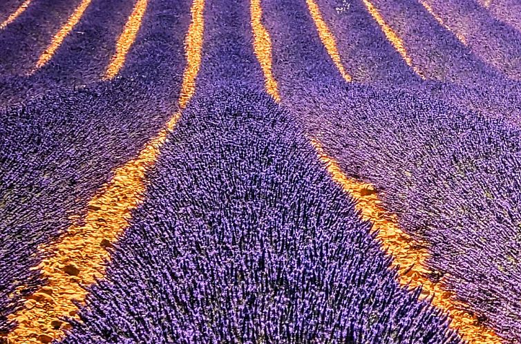 Appartement Mobilheim an der Cote d'Azur