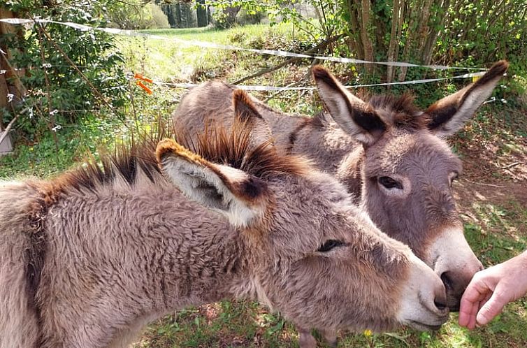 Vakantiehuis in Sospel