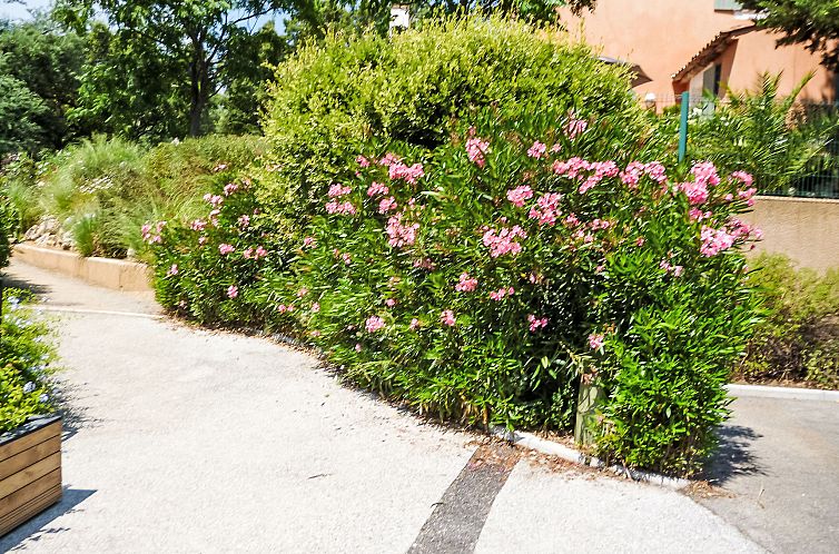 Appartement Les Restanques Golfe Saint Tropez