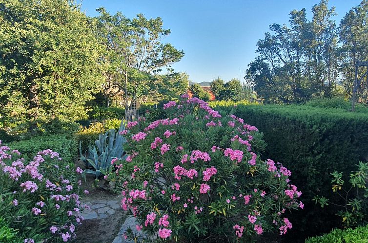 Vakantiehuis La Maison bleue