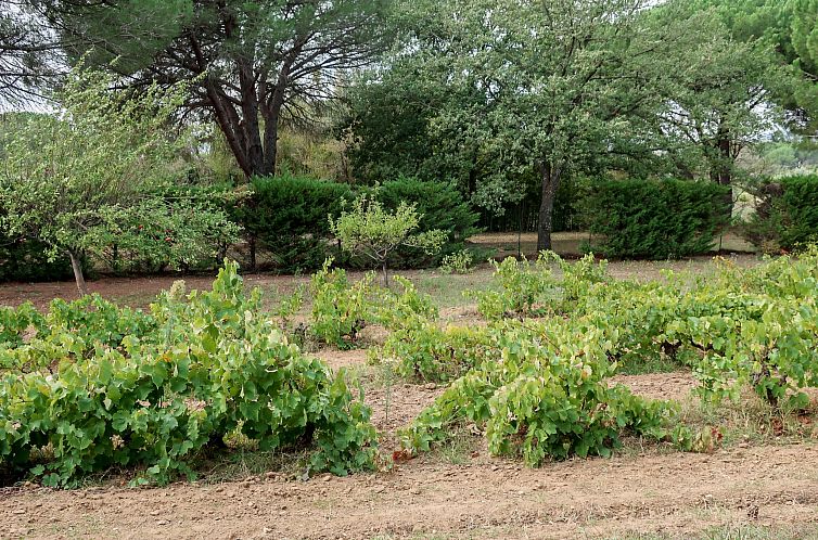 Vakantiehuis La Source