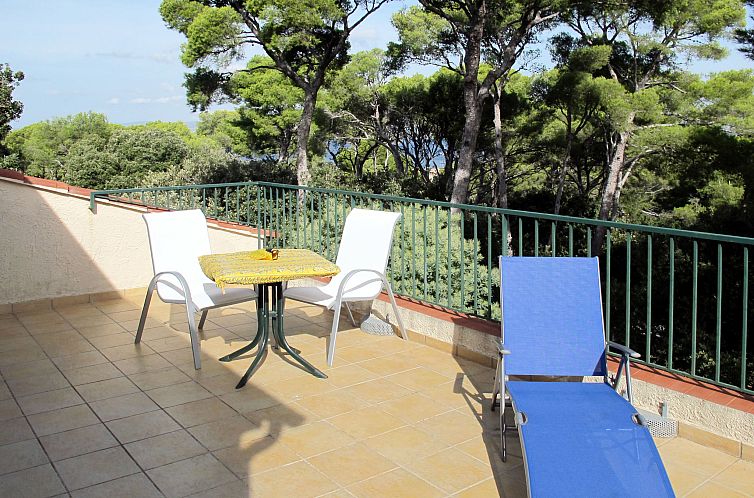 Appartement Le Colibri