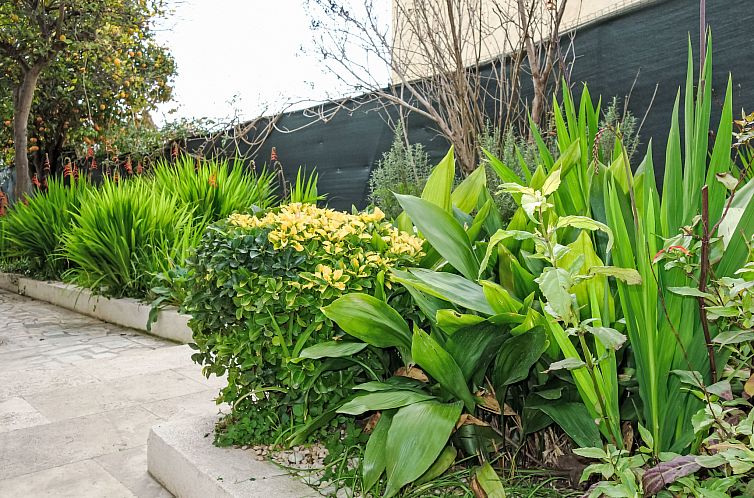 Vakantiehuis Mont des oiseaux