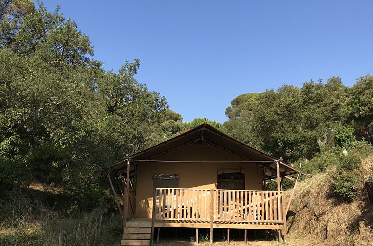 Glamping-Lodge in Frejus, Cote d'Azur, mit Veranda und gruener Umgebung.