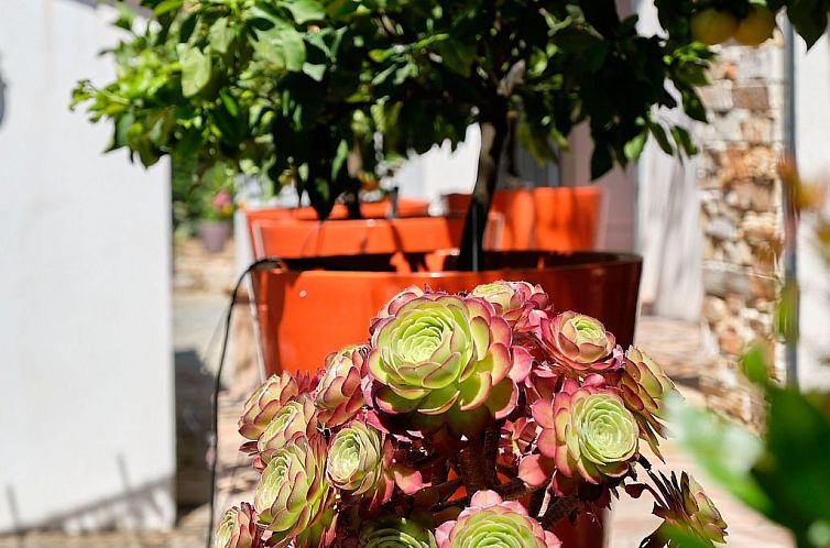 Vakantiehuis Herrliche Villa mit Meerblick, Pool, 400m vom M