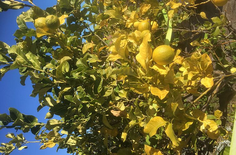 Appartement Wohnung mit Terrasse