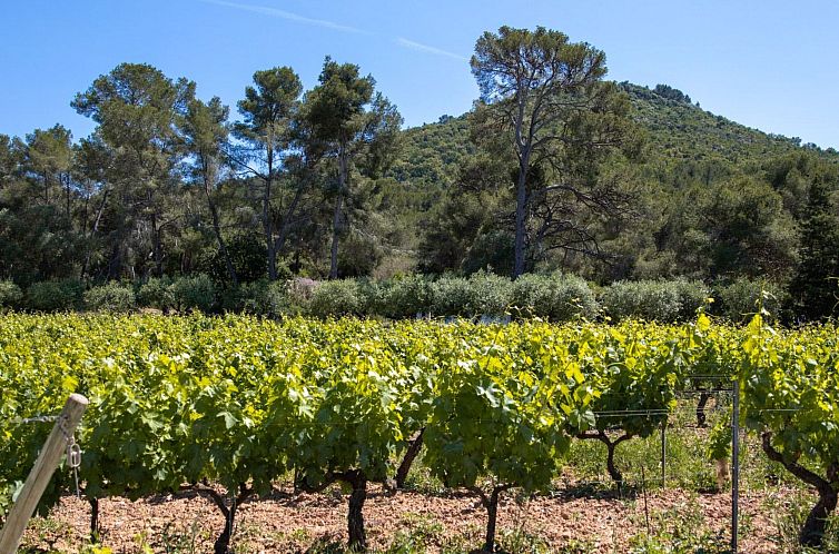 Vakantiehuis Gîte im Herzen der Weinberge, Terrasse mit ate