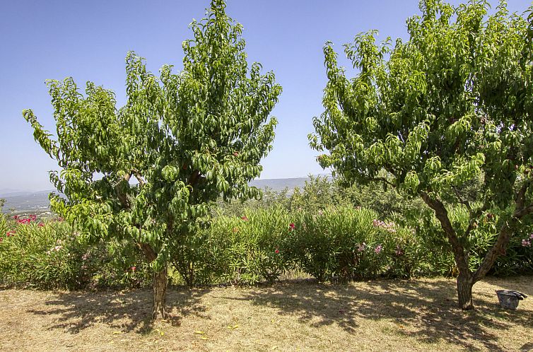 Vakantiehuis La Campagne