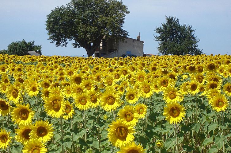 Vakantiehuis im Luberon Provence