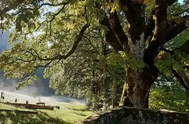 Gîte La Bergerie