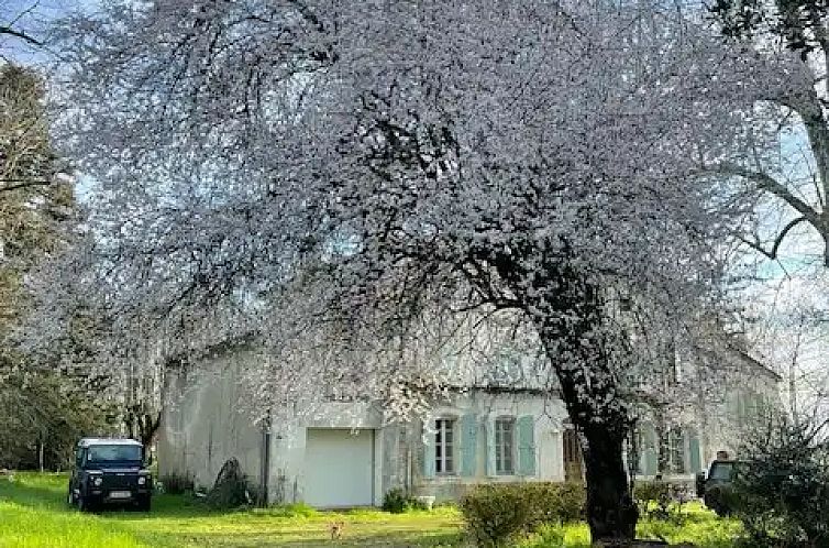 Le Paradis de la chouette