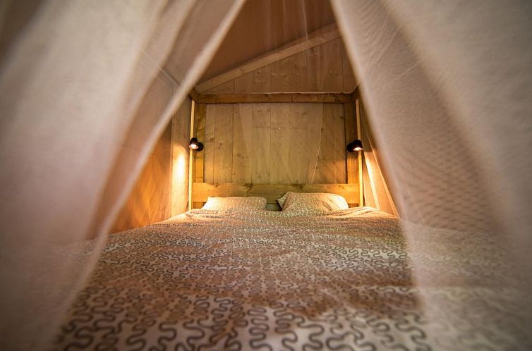 Safari Lodge + Teeny Lodge