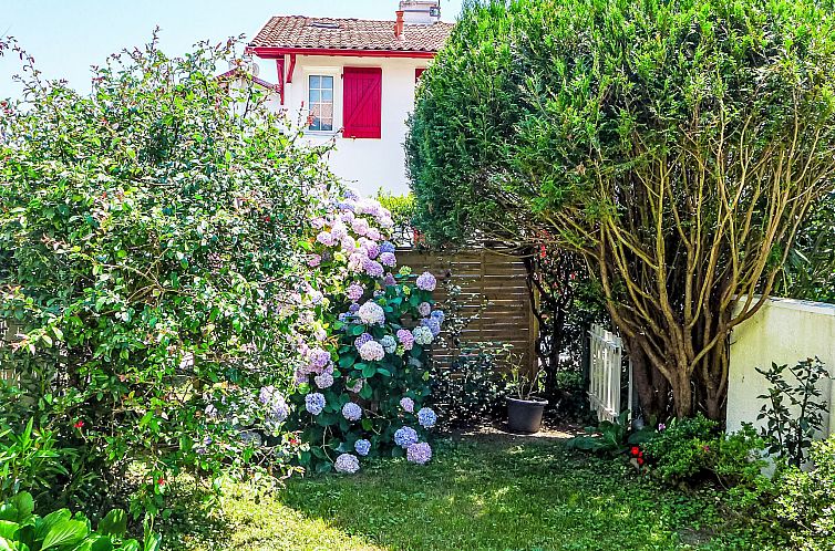Appartement Le Fronton