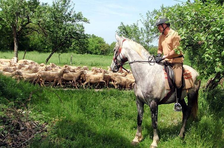 Vakantiehuisje in Dégagnac
